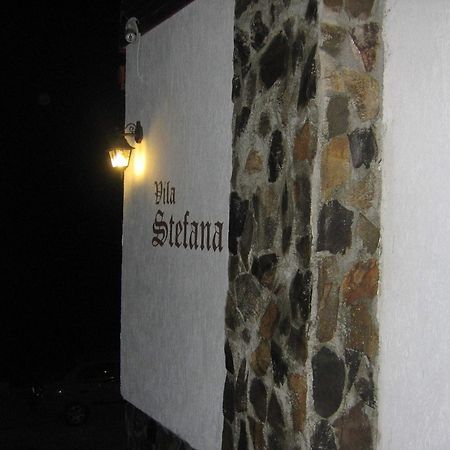Vila Stefana Пэлтиниш Экстерьер фото