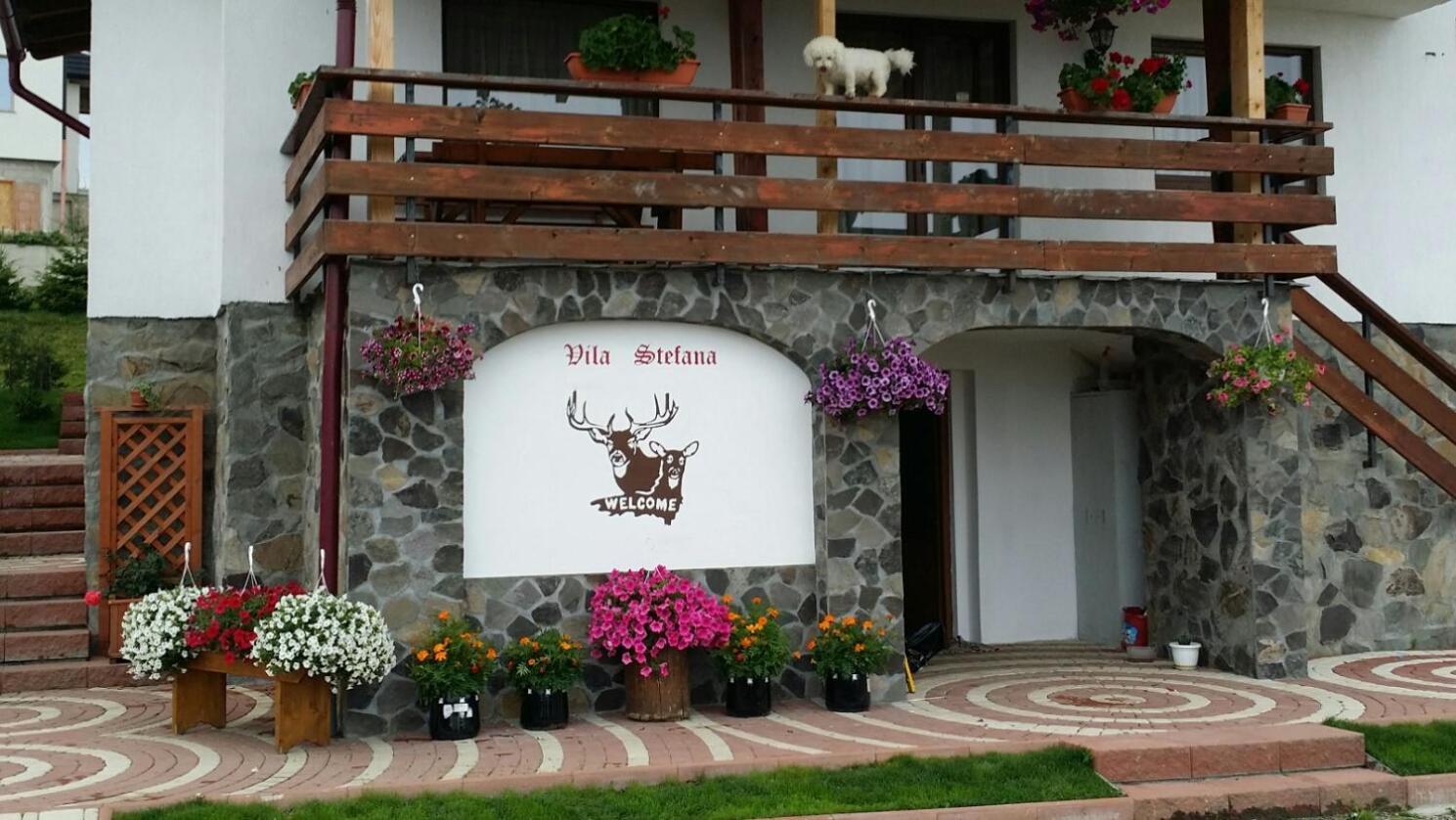 Vila Stefana Пэлтиниш Экстерьер фото